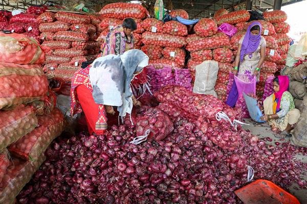 Govt releasing one lakh tonne of onion buffer stock: Tomar