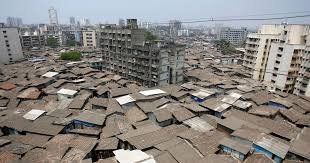 Dharavi reports 14 new COVID-19 cases