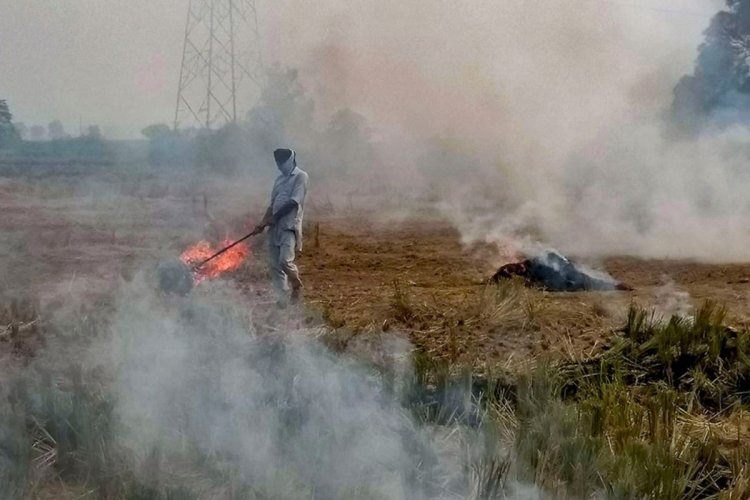 West Bengal to observe Nov 4 as anti-stubble burning day