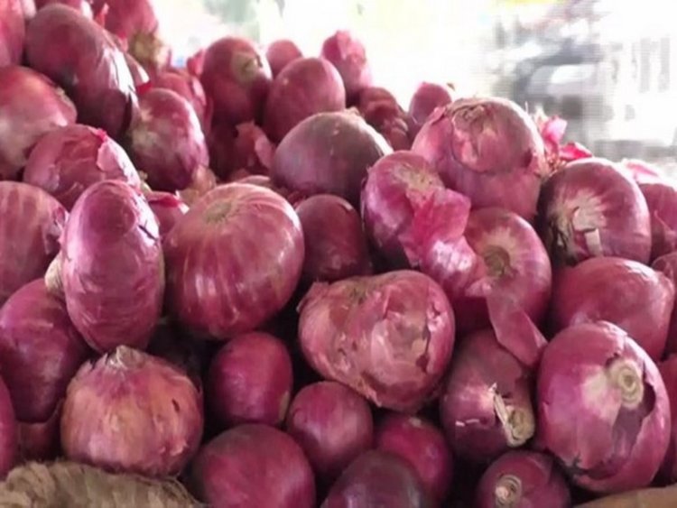 Maha: Onion prices continue slide at Lasalgaon market