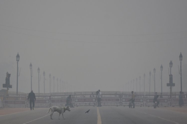 Delhi's air quality inches closer to 'severe' zone, AQI stands at 381