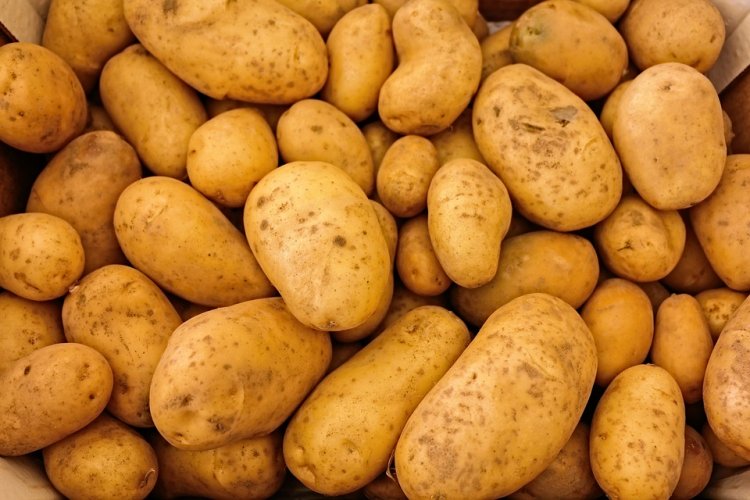 Potato price set to ease below Rs 40 in a few days