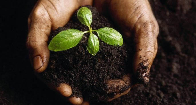 World Soil Day 2020: Conservation of Soil Bio-Diversity is Important