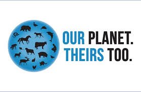 International Animal Rights Day: Animals have the Same ‘Rights’ as Humans