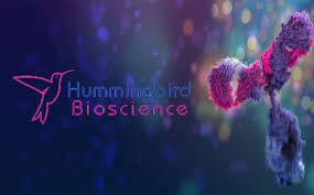 Hummingbird Bioscience Announces Collaboration with Tempus to Harness AI-driven Precision Medicine to Accelerate Clinical Development of HMBD-001 In HER3 Driven Cancers