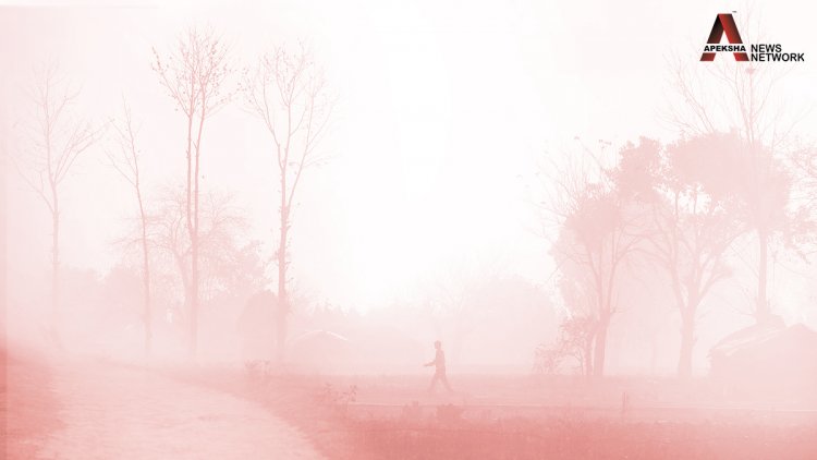 Moderate fog in parts of Delhi, minimum temperature dips to 4 deg Celsius