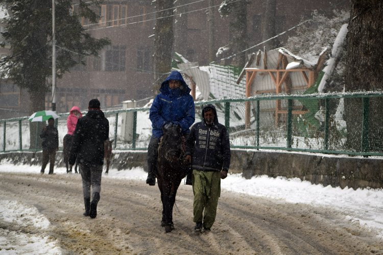 Snowfall in higher reaches of J&K even as minimum temperature improves