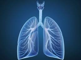 LORBRENA® (lorlatinib) sNDA in Previously Untreated ALK-Positive Lung Cancer Accepted for Priority Review by U.S. FDA