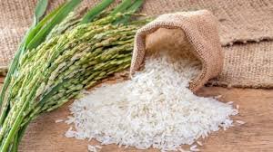 India defers certificate requirement for rice export to European countries