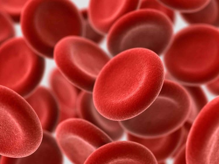 Study explains fluctuation in blood oxygenation levels in COVID-19 patients