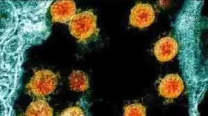 India successfully cultures the UK-variant of coronavirus strain: ICMR