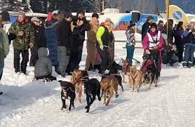 Two Companies from Bend Oregon Team up for the 2021 Stage Stop Sled Dog Race