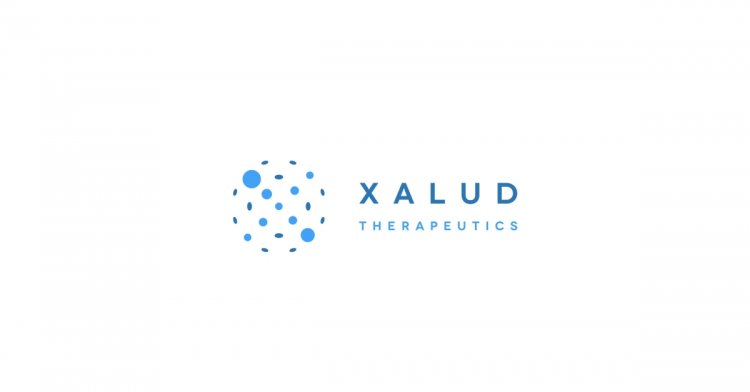 Xalud Therapeutics Appoints Diem Nguyen, Ph.D., as Chief Executive Officer