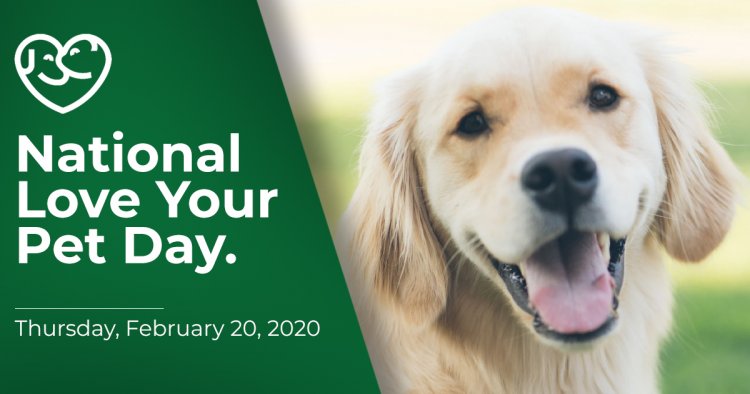 Let's Make 'National Love Your Pet Day', Everyday!