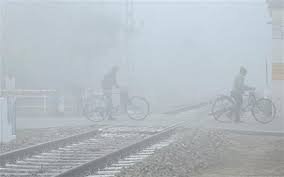 Cold wave continues to sweep Punjab, Haryana