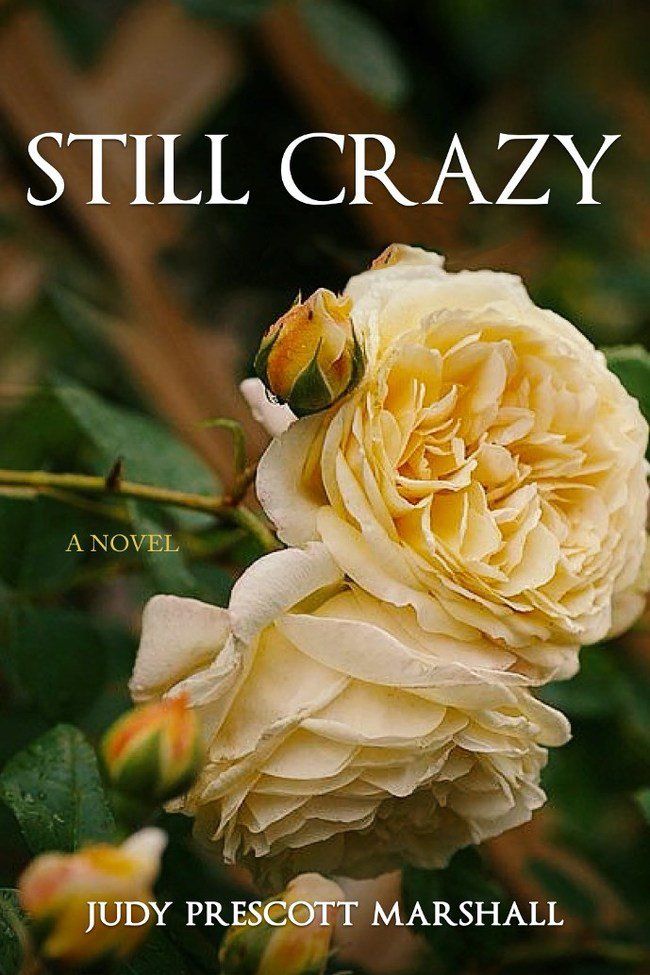 Judy Prescott Marshall Announces New Book STILL CRAZY, on Pre-order Today!