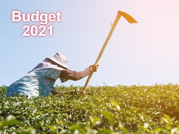 Agri Ministry gets 5.63% more budget for FY22; half of it for PM-Kisan