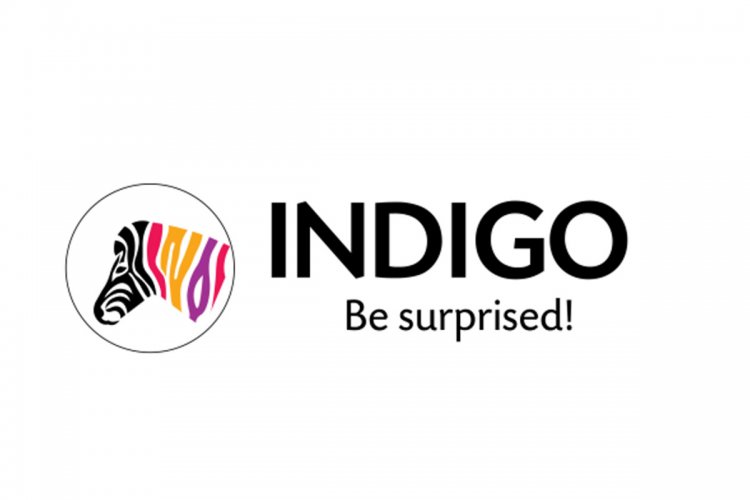 Indigo Paints makes impressive market debut; shares zoom 75 pc