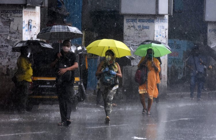 Parts of north, central India likely to witness rains from Feb 3 to 5: IMD